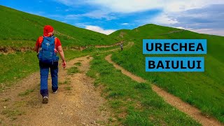 Varful Urechea - Drumetie de inceput de vara in muntii Baiului (Acasa, in natura - Ep. 8)