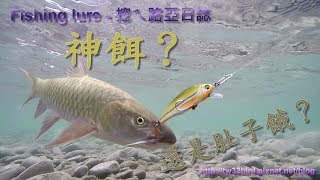 2018/03 【新竹】外縣市工作的小確幸(何氏棘魞 Spinibarbus hollandi) Fishing lure / 渓流釣り in Shangping River