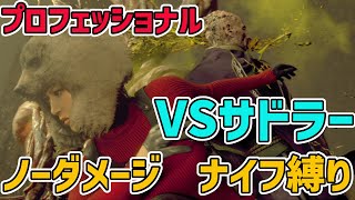 エイダ編　プロナイフ縛り　ノーダメクリア　サドラー戦【バイオハザードRE4】