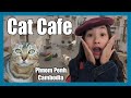 CAT CAFE! I visit Chhma Cat Cafe in Phnom Penh Cambodia!