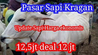 12.500 Nego‼️Update Harga Sapi Babon Po | Pasar Sapi Kragan