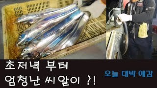 초저녁 3지 4지급으로 타작하는 갈치낚시 영상