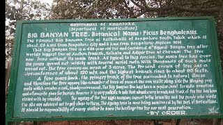 உலகில் மிக பெரிய ஆலமரங்களில் இதுவும் ஒன்று/3 ஏக்கரில்  ஒரே மரம்/great banyan tree/bengaluru/