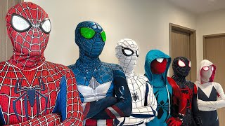 What If Many SPIDER-MAN in 1 HOUSE ??? || SPIDER-MAN's Story New Season 1  ( All Action, Funny...)