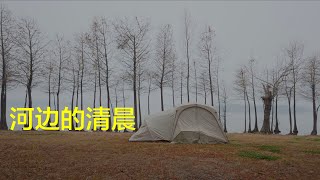 清晨的尚湖！独享一份宁静