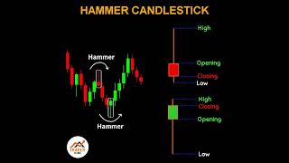 Forex สอน เทรด : 478 - Hammer Candle stick #Shorts #Chartpattern