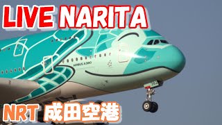 🔴LIVE at NARITA International Airport Plane Spotting　2025.01.24 成田空港ライブカメラ 成田空港　NRT/RJAA