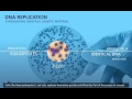 DNA Replication