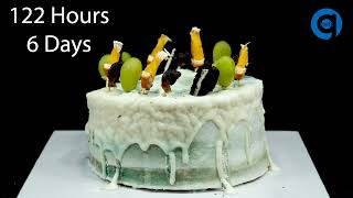 Birthday Cake Timelapse - 45 Days