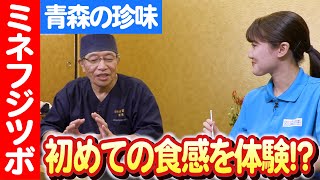 【エビ？カニ？いいえフジツボです！】青森の隠れた名物！ミネフジツボを食べてみた 日本財団 海と日本PROJECT in 青森県 2023 #021