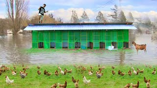 Heavy Rainstorm Flooded my Free-range Farm - Rescuing chickens from flood ( What really happened )