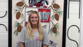 Clinch County E-SPLOST