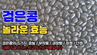 놀라운 검은콩의 효능 5가지 / 부작용 / 장점 / 단점 / 몸이몇년은젊어집니다!