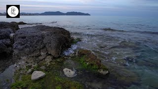 🌊🙏 Soft Lapping Ocean Waves 4K w/ Screen Dimmed for Sleep \u0026 Relaxation - ASMR Water Sounds