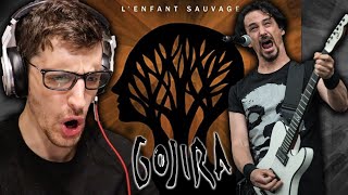 I Finally Experienced GOJIRA - 