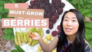 5 Must-grow berries for backyards - Delicious, unusual and productive varieties