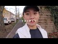 🇩🇪vlog 06 德国独居日常｜平淡日子里的治愈时刻｜亲近大自然｜超市购物分享｜和我一起学习｜随手拍秋天｜quark搭配推荐