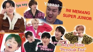 [SPECIAL.2] INI MEMANG SUPER JUNIOR (momen lucu, gelud, para youtuber, aegyo)