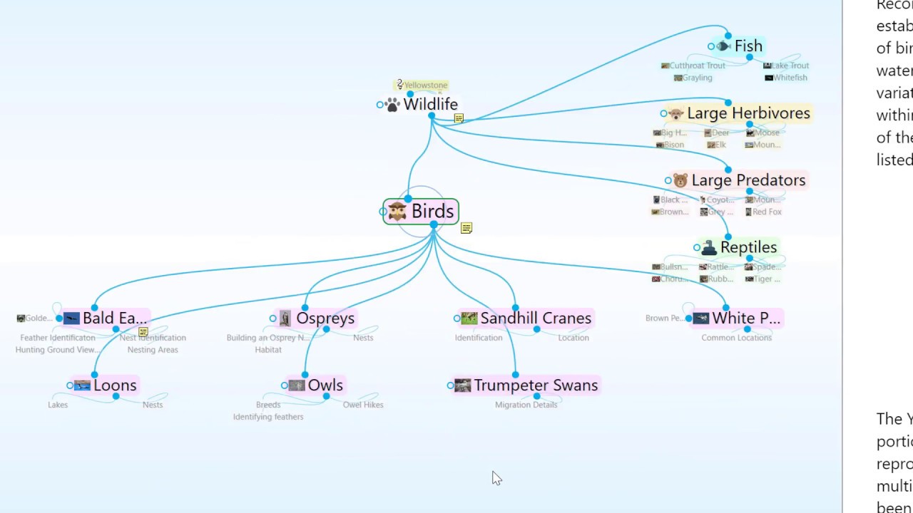 Thebrain Layouts Youtube