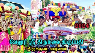 Tirupati Thirukudai Uurvalam Vellore Sathuvachari | வேலூர் திருமலை திருப்பதி திருக்குடை ஊர்வலம்