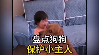 盘点狗狗与小主人的感人瞬间  #被萌娃和狗狗治愈了 #狗子带娃