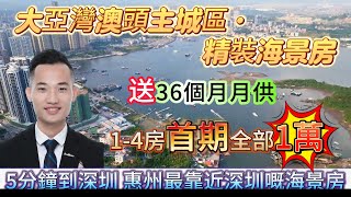 下集 步行至澳頭海鮮街 1-4房首期全部1萬，精裝海景一房總價35萬起再送36個月月供 金地物業，大亞灣澳頭主城區 超多美食及遊玩景點 5分鐘到深圳 惠州最靠近深圳嘅海景房#惠州筍盤#海景房#大亞灣