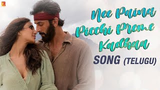 Nee Paina Picchi Preme Kadhaa Song | Ranbir Kapoor, Vaani Kapoor | Yazin, Neeti| Mithoon | Chaitanya