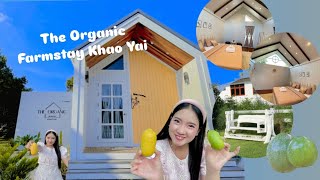 🏕️ The Organic Farmstay Khao Yai (ดิ ออร์แกนิค ฟาร์มสเตย์ เขาใหญ่) | @NurseHolidays