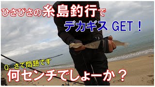 【キス釣り】糸島にデカギスいるいる～♪九州二十人の会の結果報告も