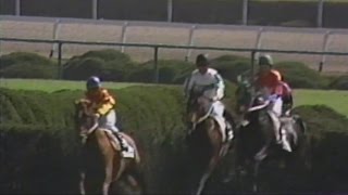 1991/11/2 障害未勝利 メジロパーマー