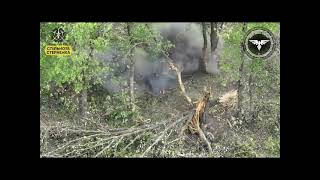 Ukrainian Drone Drops Incendiary Grenades to clean up Russian infantry