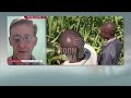 Zimbabwe reopens maize and grain imports