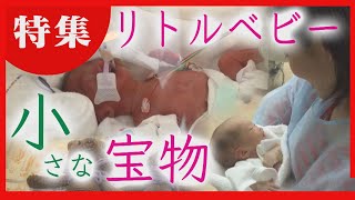 【リトルベビー】小さく生まれた赤ちゃん　命の重みと尊さ　育児への悩みや不安を解消へ