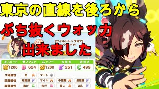 【ウマ娘】無・微課金でも作れる東京の長い直線を後ろからぶち抜くウォッカ育成動画【キャンサー杯】