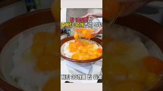 밥 10인분과 날계란 30개 한끼 먹방