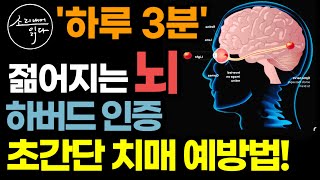 뇌 저속노화의 열쇠! 하버드 인증 초간단 뇌 노화방지, 치매 예방법! / 하루 3분, 이렇게 해보세요! 기억력 좋아지고 또래보다 10년 젊어집니다! / 책읽어주는여자 건강 오디오북