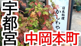 創業３０年！住宅街にたたずむちょっといい和食屋さんで美味しいランチ！日本料理 かしわや【宇都宮市中岡本町】