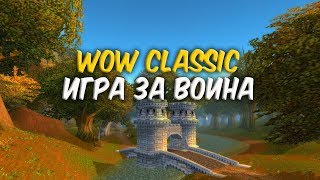 WoW Classic - Игра за воина. Очереди