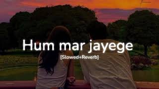 Hum mar jayenge (Slowed+Reverb) ~ Arijit Singh, Tulsi Kumar