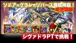 【パズドラ】ソニア=グラン=リバース降臨シヴァドラPT 安定周回