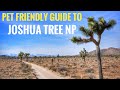 Pet Friendly Guide to Joshua Tree National Park (Barker Dam Optional)