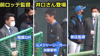 日本ハム　キャンプ　前ロッテ監督　井口さん登場　新庄監督　加藤豪将とも会話