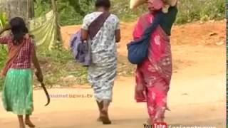 Only one LP school in Edamalakudy tribal colony