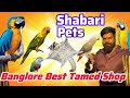 Banglore tamed birds | tamed birds in banglore | Parrot sale in Bangalore | birds food for sale |