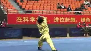 2010年全国武术套路锦标赛（传统）M07 004 男子查拳 张凯