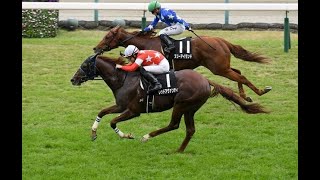 20241116 競馬ﾚｰｽﾄﾋﾟｯｸ　14【吉田隼人本日2勝目!】'24キビタキS T1200 16下 レッドアヴァンティ