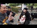 寶貴！名犬飼主的親身經驗！【大家都養什麼狗】4 ft.邵庭 伯恩山kaia 雪橇犬麥可噗優 標準貴賓哈恩 肩膀上的波尼｜熊爸估狗