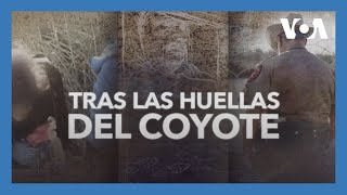 Documental | Tras Las Huellas Del Coyote