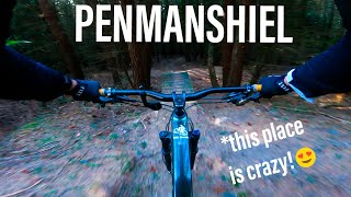 Penmanshiel MTB - These Mountain Bike Trails are off the HOOK