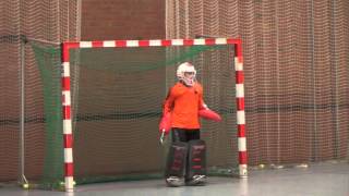 Fußball? Nein, Hockey Hallensaison 2014 2015 Torwart